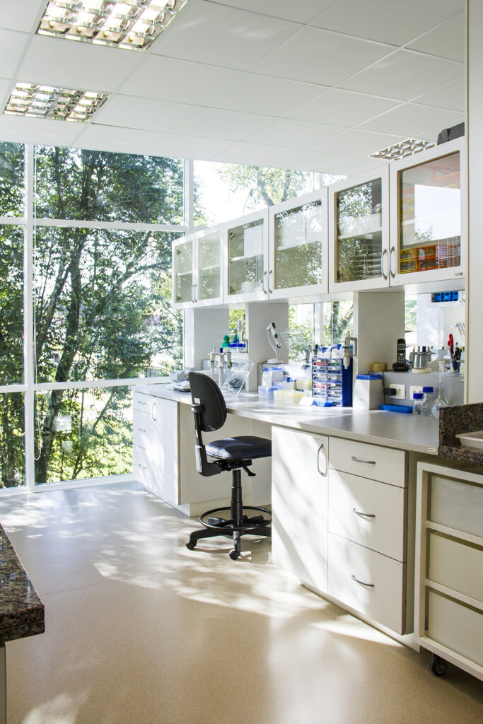 Interior projeto arquitetônico de laboratorio sala com balcao com equipamentos cadeira grandes janelas de vidro com arvores
