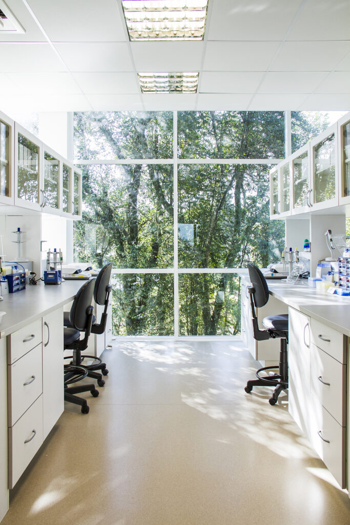 Interior projeto arquitetônico de laboratorio sala com dois balcoes com equipamentos cadeira grandes janelas de vidro com arvores