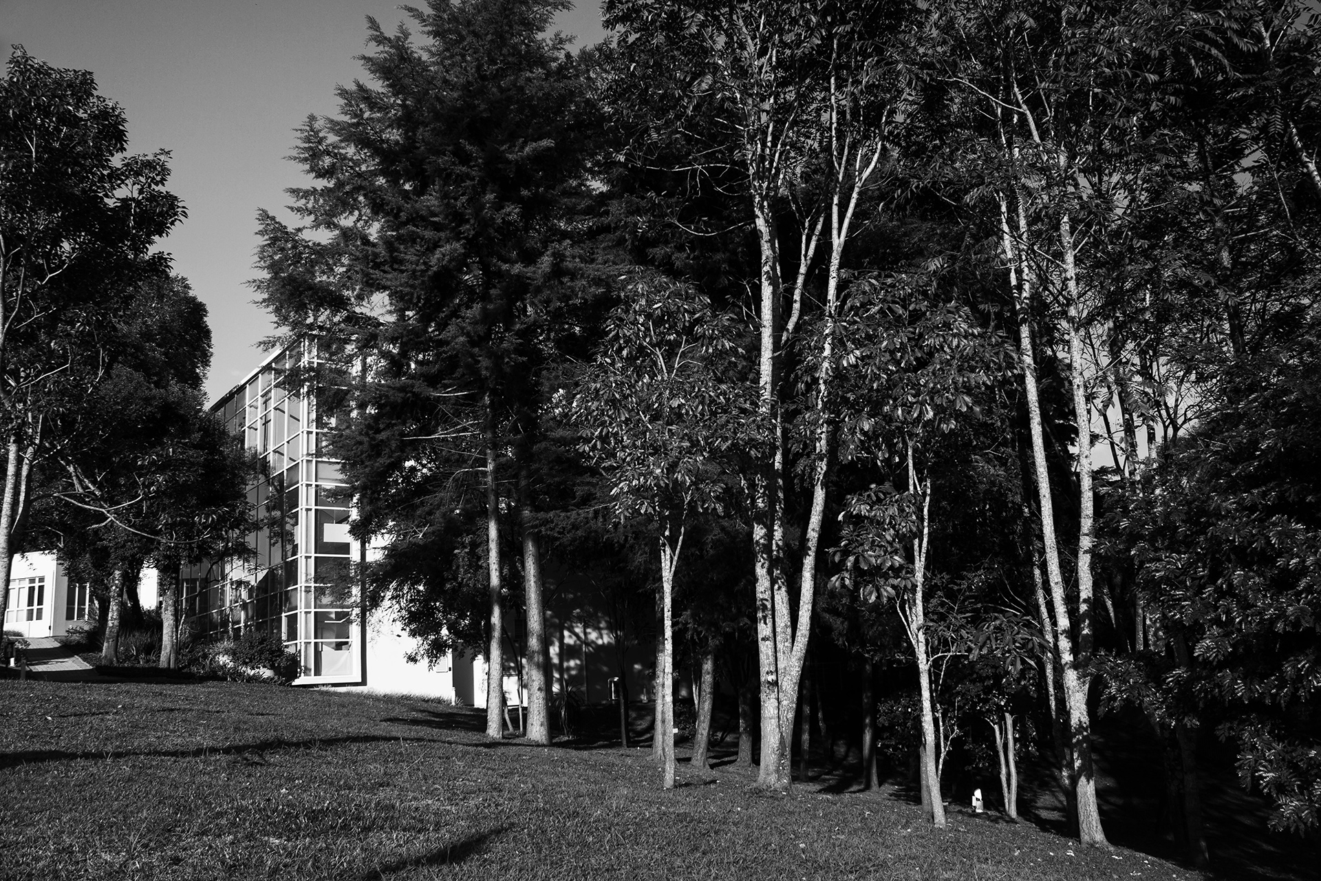 Uma foto em preto e branco de uma prédio branco entre árvores.